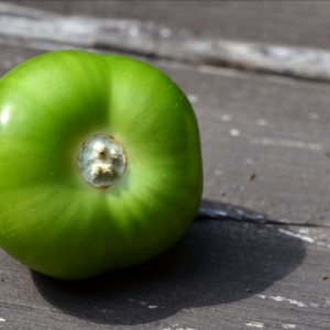 Le tomatillo sans son enveloppe